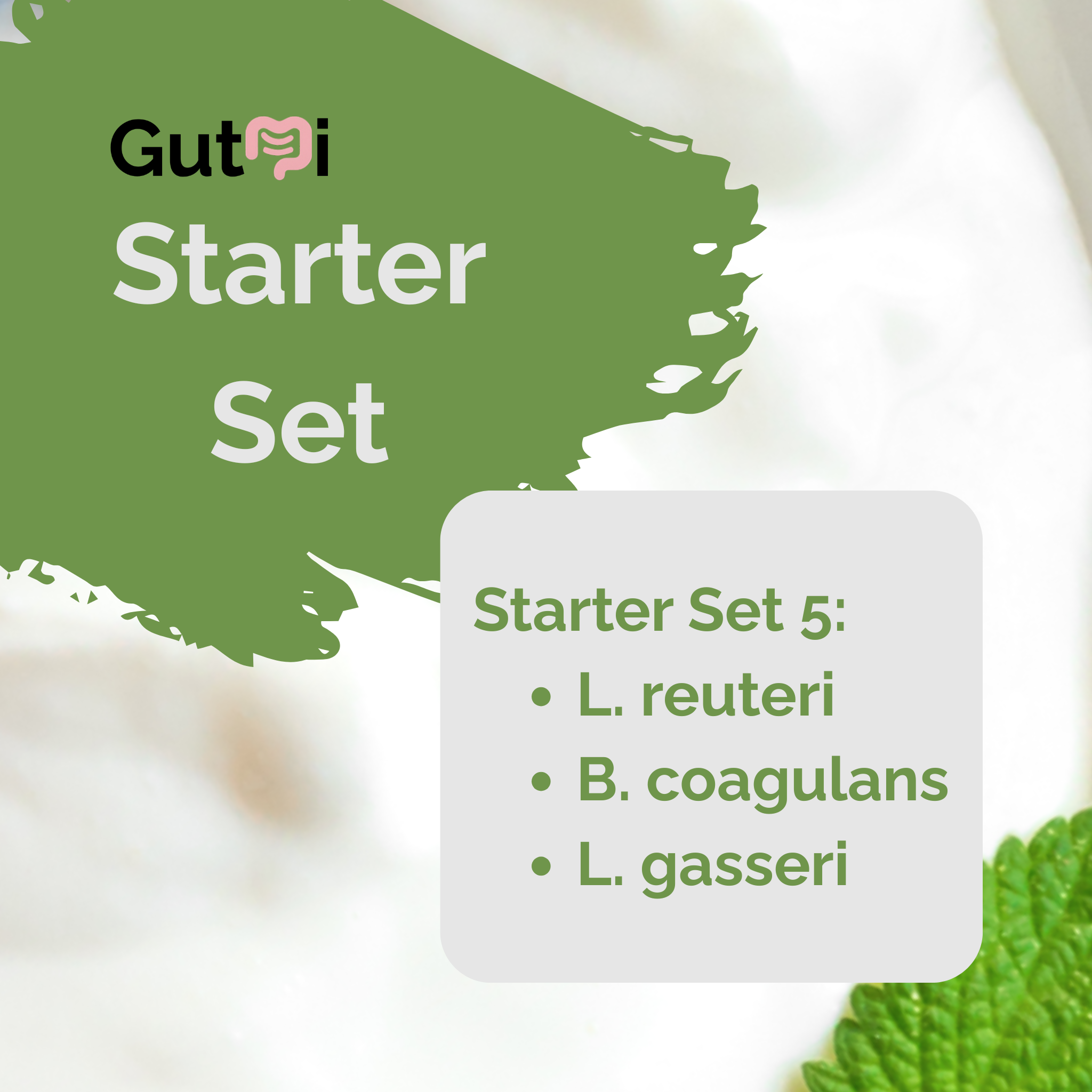 L. reuteri + B. coagulans + L. gasseri | Set Starter Yogurt | SIBO | Kultur Starter | Paket 3