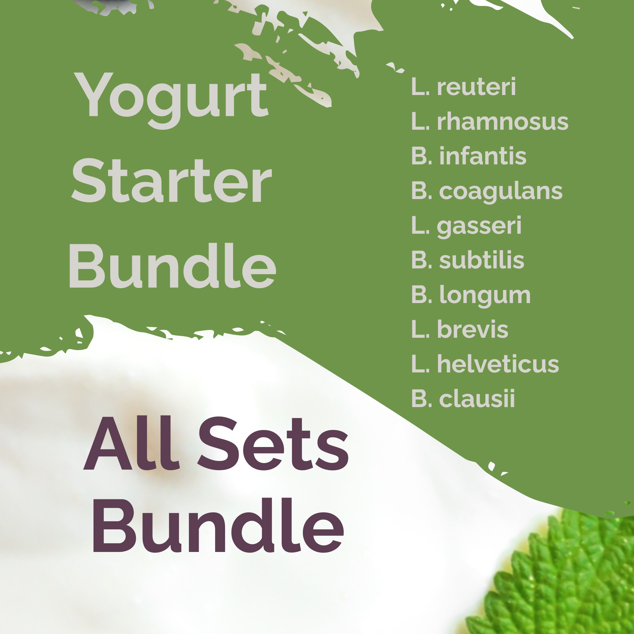 L. reuteri + L. rhamnosus + B. infantis + B. coagulans + L. gasseri + B. subtilis + B. longum + L. brevis + L. helveticus + B. clausii | All Sets Bundle | Yogurt Starter Bundle | Pack of 3 Sets