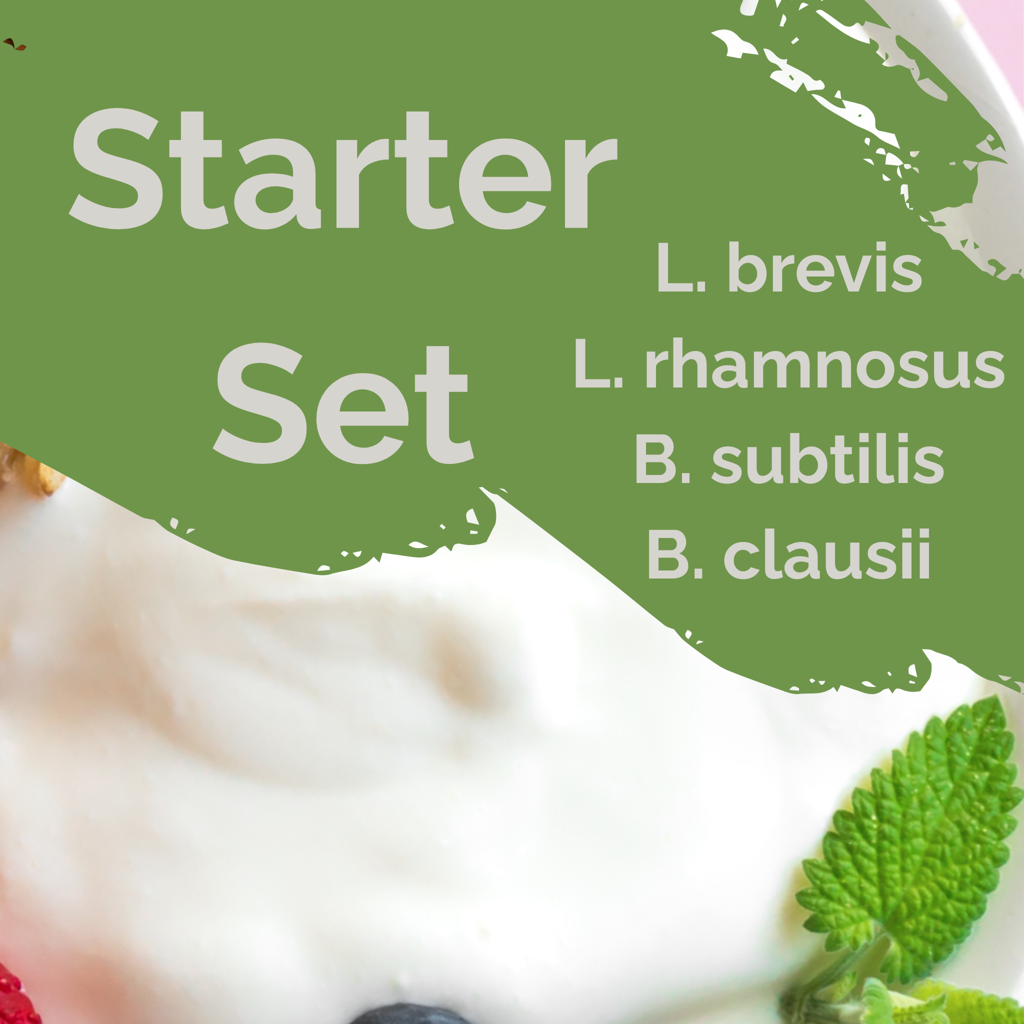 L. brevis + L. rhamnosus + B. subtilis + B. clausii | Set Starter Yogurt | Perlindungan Usus | Kultur Starter | Paket 3