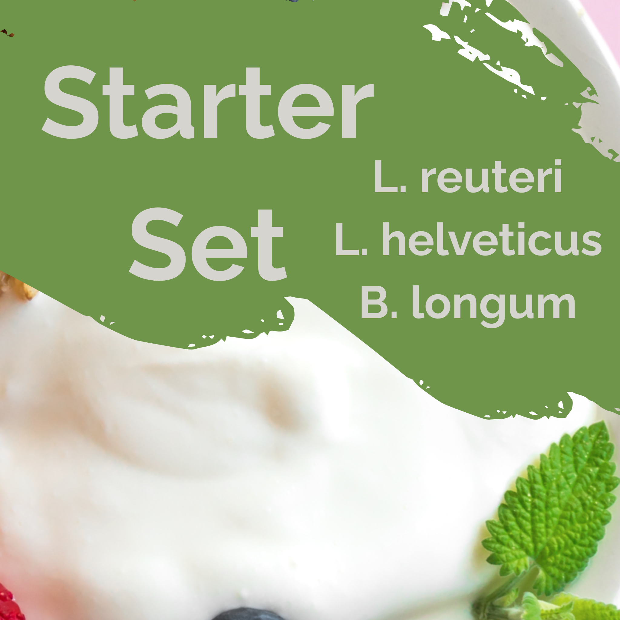L. reuteri + L. helveticus + B. longum | Set Starter Yogurt | Harmoni Usus | Kultur Starter | Paket 3