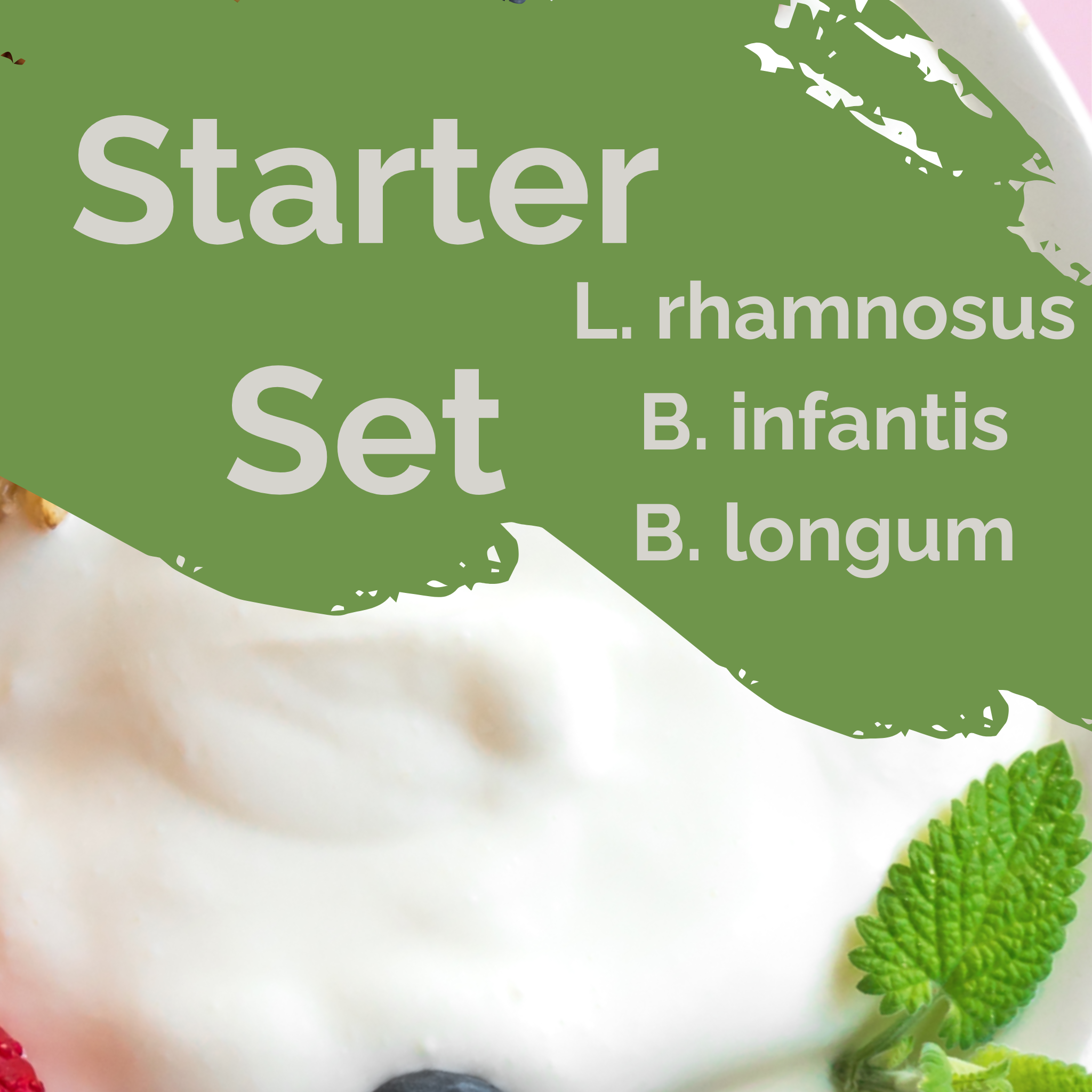 L. rhamnosus + B. infantis + B. longum | Set Starter Yogurt | Keseimbangan Usus | Kultur Starter | Paket 3